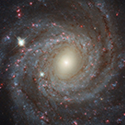 NGC3344